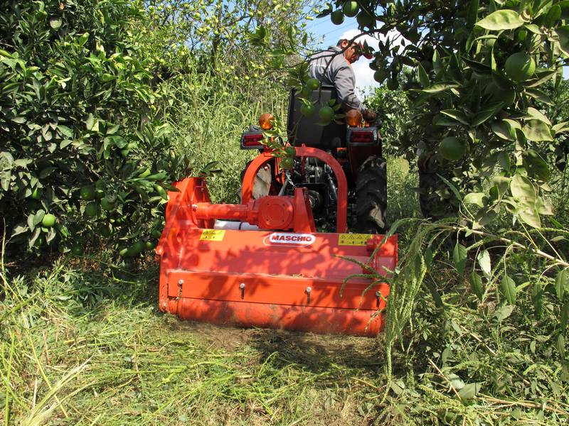 4094_2_trinciasarmentifissiespostabilifurba