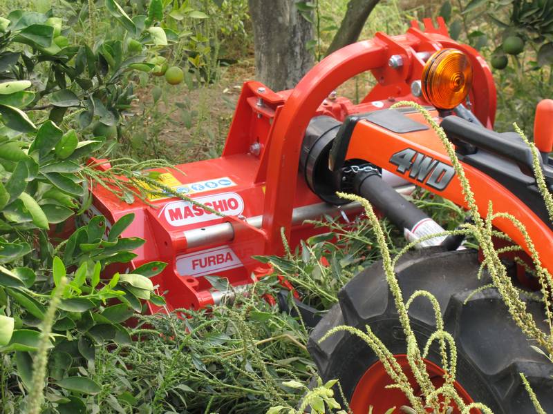 4094_3_trinciasarmentifissiespostabilifurba