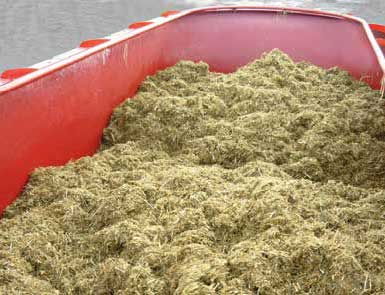 carri-miscelatori-semoventi-tuareg-self-tron-02-1